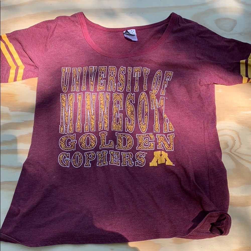 University of Minnesota top